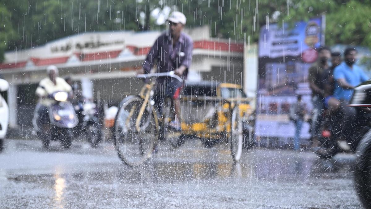 Sudden showers in Vellore, nearby districts
