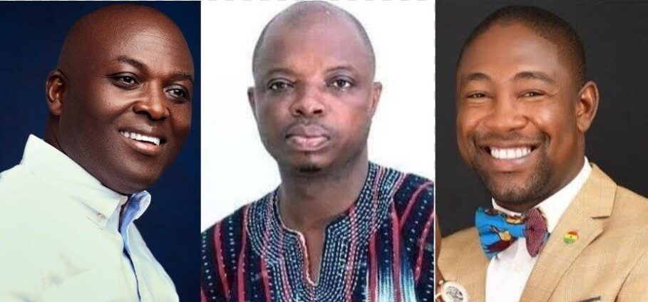 Full list of newly elected NPP regional chairmen