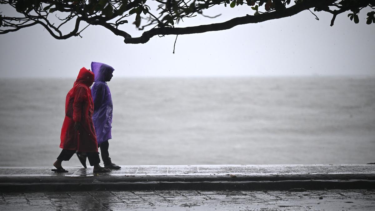 IMD forecasts slight revival of monsoon rains in Kerala; yellow alert for 4 districts on August 18