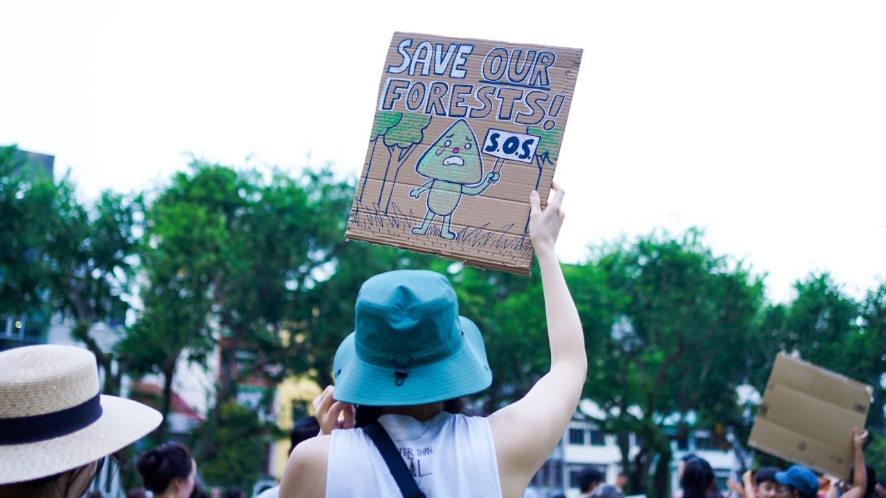 Singaporeans urge forest protection at rally as housing plans spur concerns