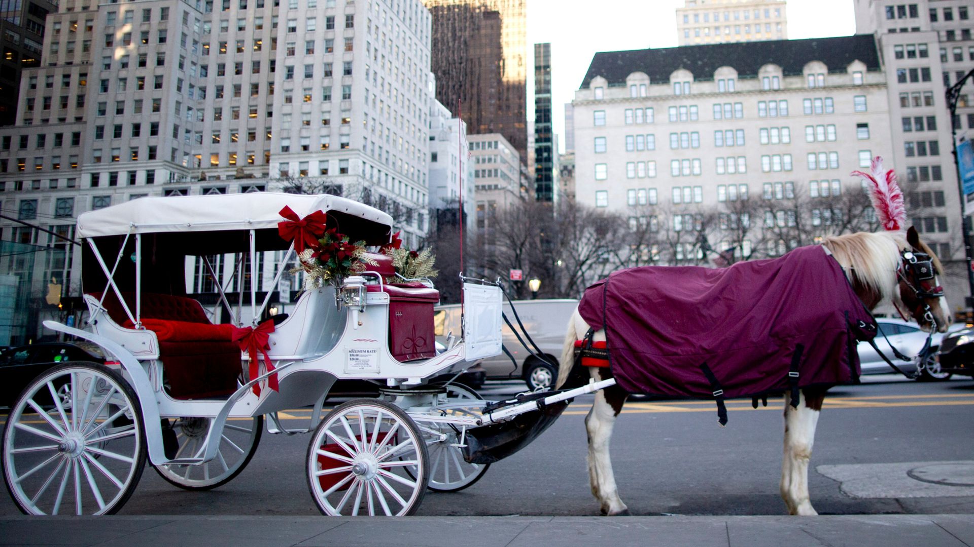 New York City to end iconic horse-drawn carriage rides after teenager's death