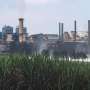 Uganda's sugarcane boom leaves families hungry: What needs to change