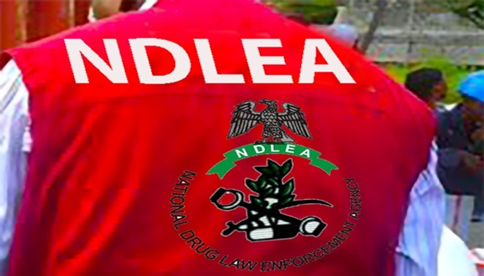NDLEA recovers N3.6bn hard drugs, arrests India-bound bizman with cocaine