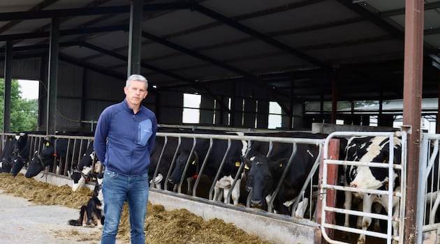 Farmers count the cost of prolonged drought: ‘Do the maths, that’s €3,500 a week’
