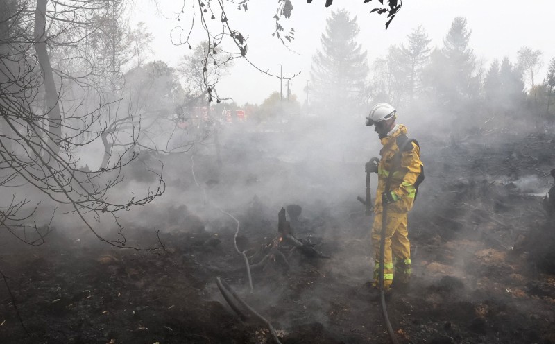 Rainfall aids fight against Belgium's biggest wildfire, as blazes rip through Europe