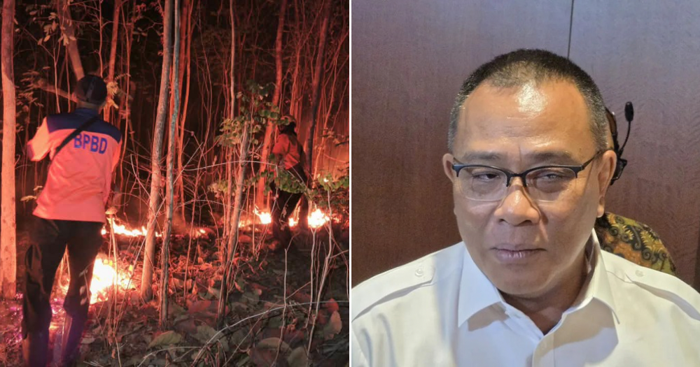 Indonesia hopes to extinguish all forest fires within 1 month, says its environment minister