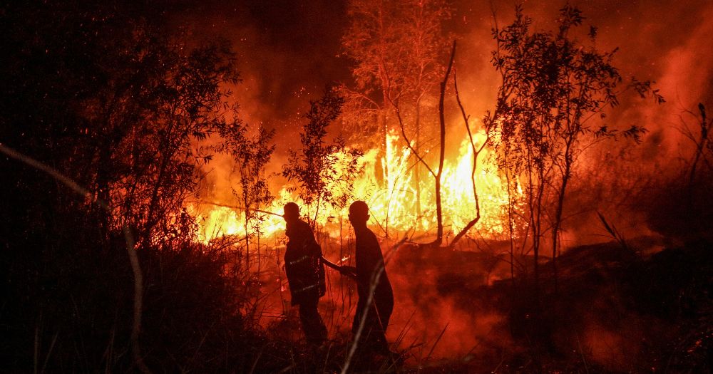 How are Indonesia's peatlands affecting transboundary haze?