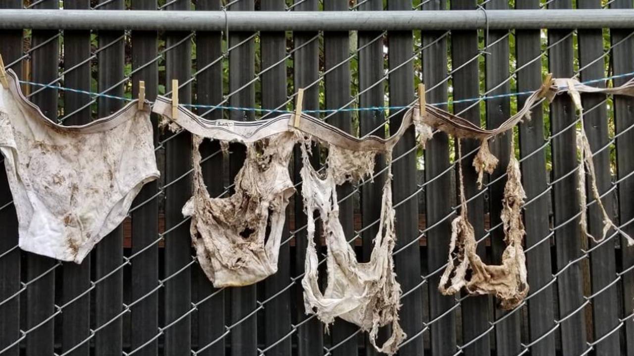 Study finds underwear decomposes fastest in gardens, slowest on lawns