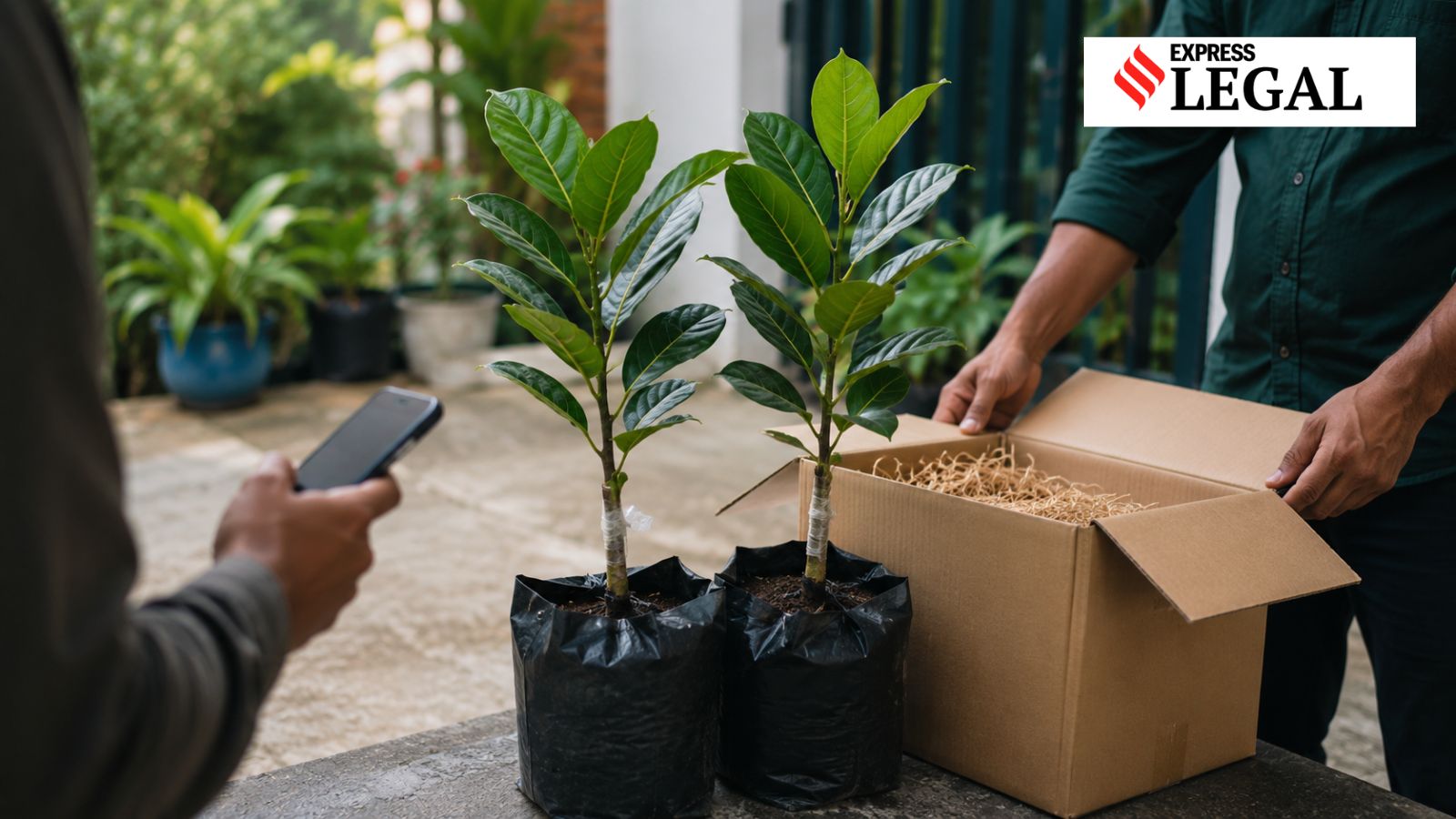 Paid for 2 ‘Vietnam jackfruit’ plants online but ‘got none’, Kerala man wins payout