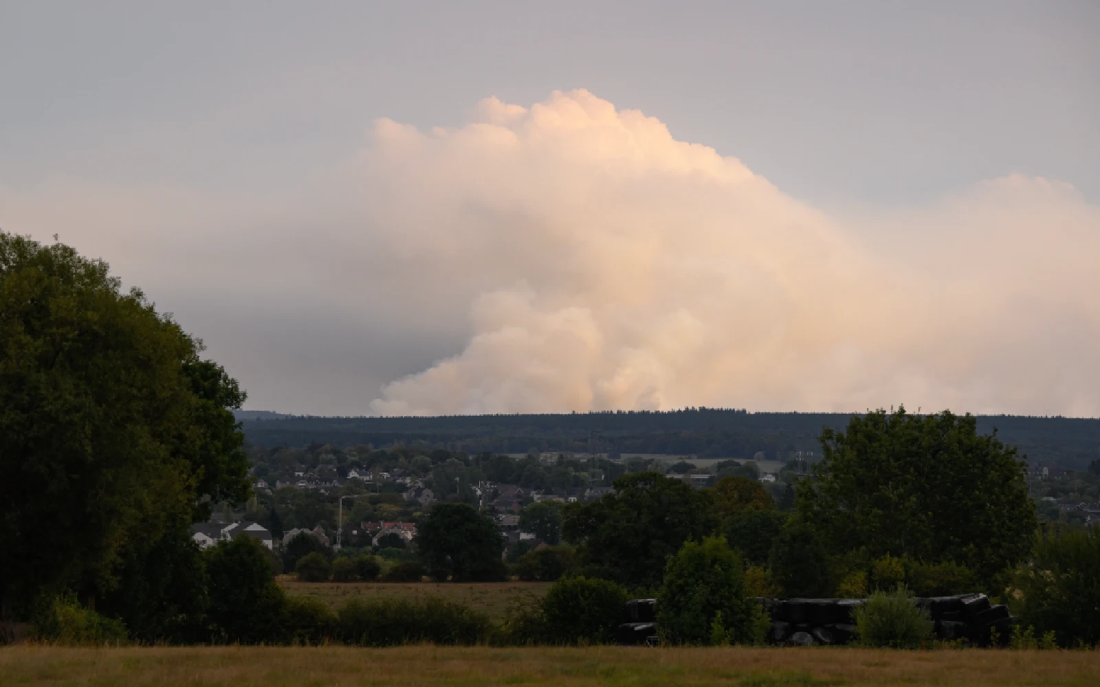 Rain aids battle against Belgium’s biggest wildfire as Europe burns