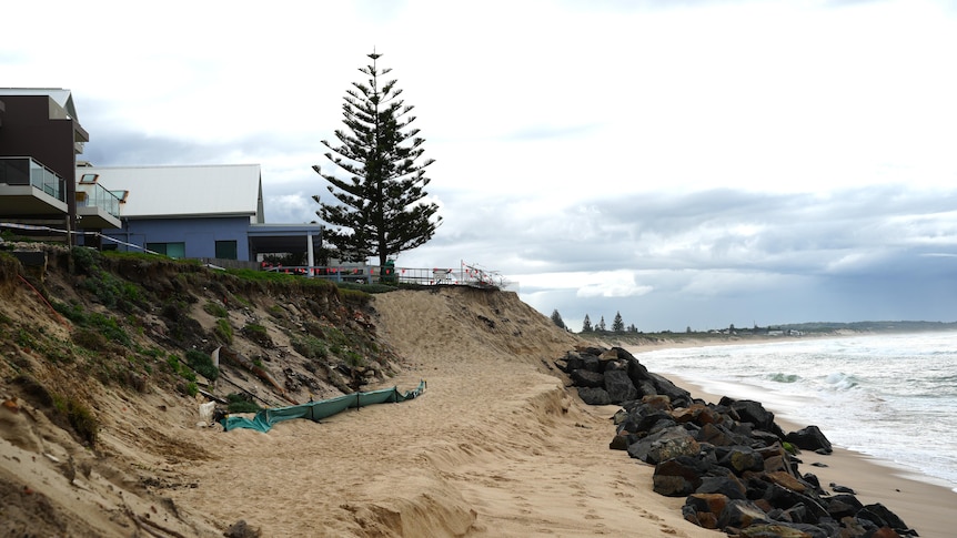 Engineer says 50 years of erosion research being ignored