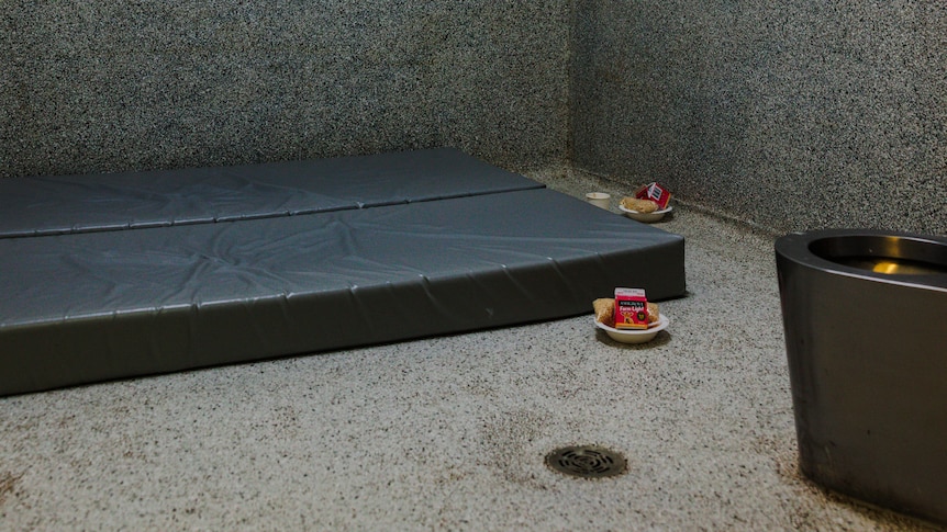 Tasmanian child detained for 55 hours in adult watch house cell