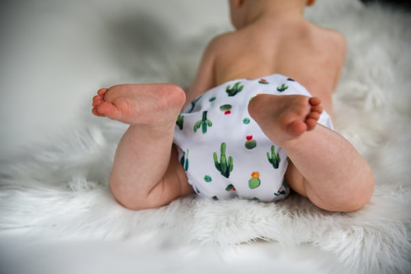 The most absorbent cloth diapers, ranked by Consumer Reports