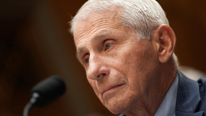 Fauci could face prison if convicted of contempt, former prosecutor says