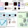 AI tool for computing radiation dose helps personalize prostate cancer treatment