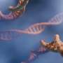 3D genome mapping in rare immune cells reveals new Crohn's disease genes