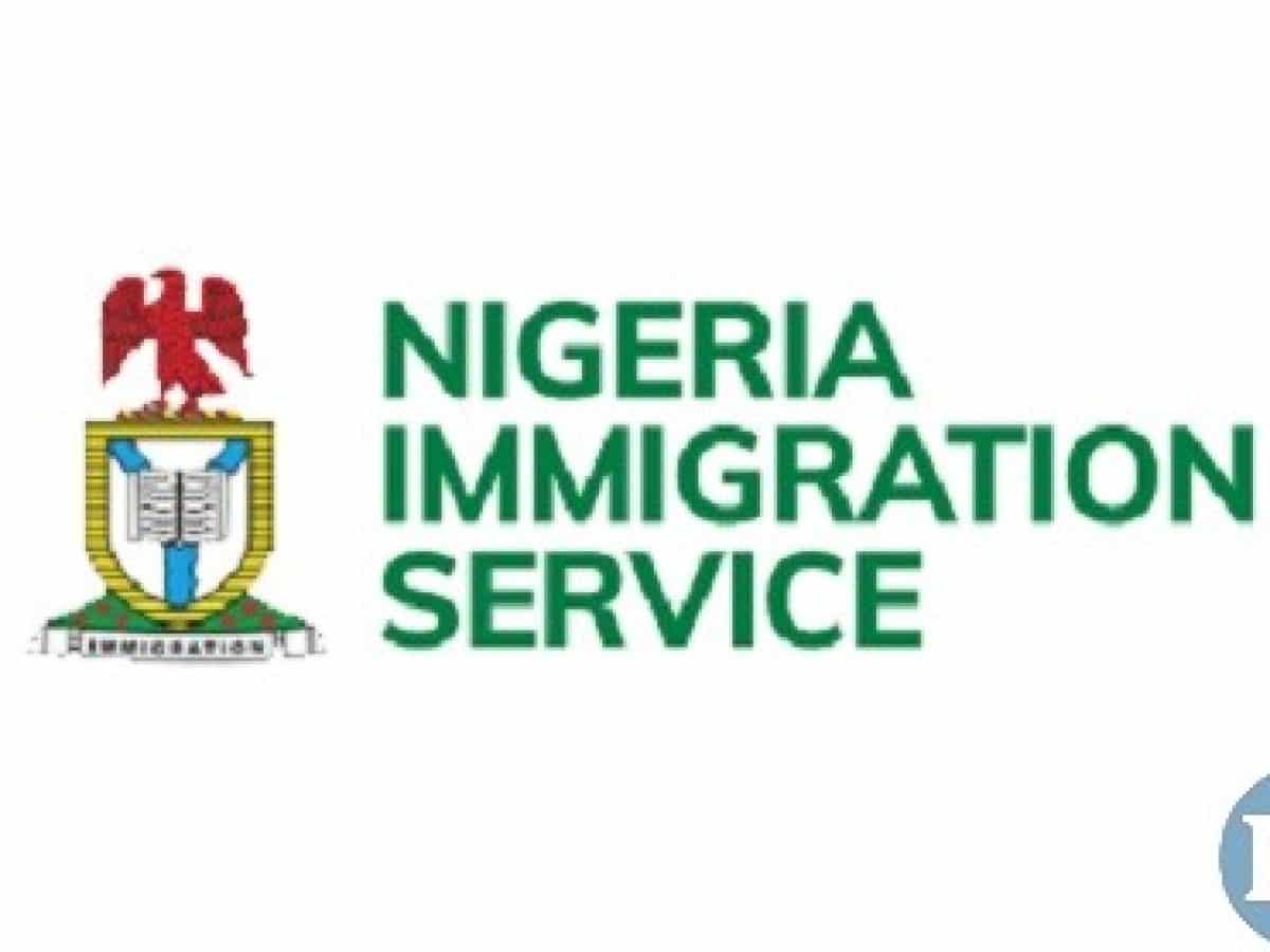 NIS confirms death of officer after gunmen attack in Niger