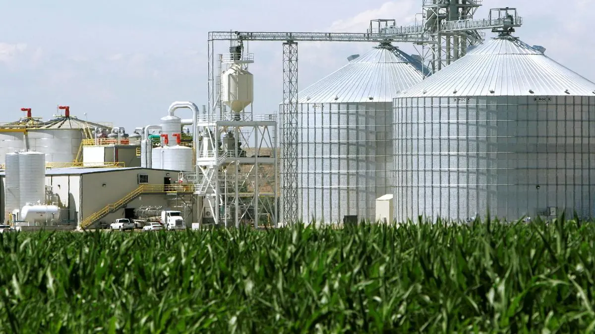 India’s ethanol receipts hit 987 crore litres by September, maize leads supply