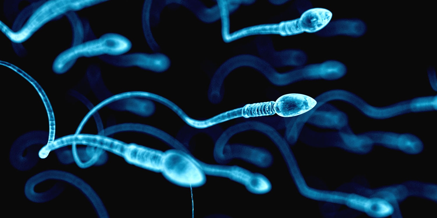 Severe COVID-19 linked to anxiety in offspring via altered sperm RNA