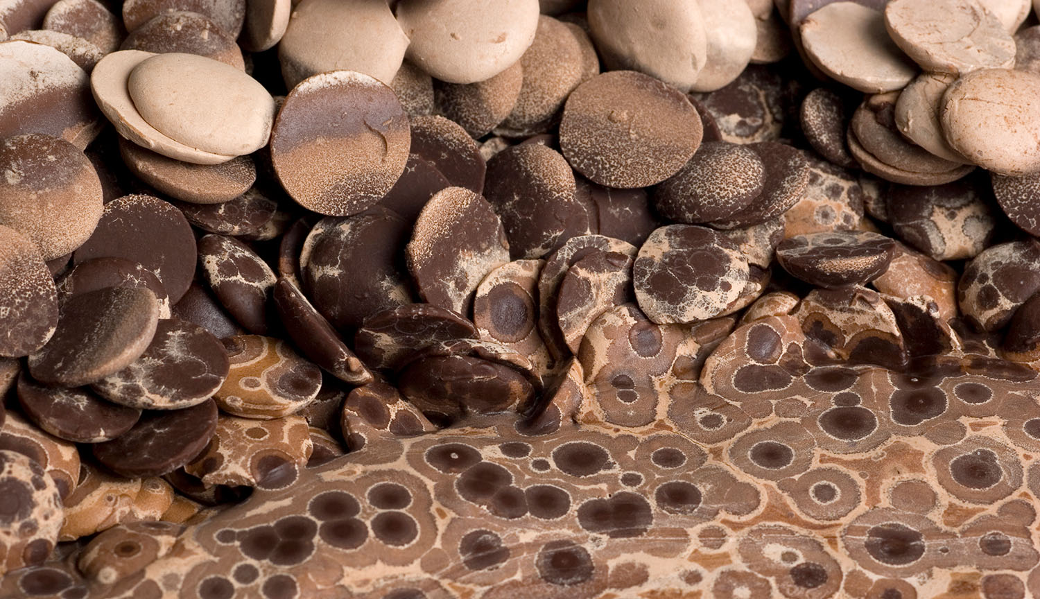 How scientists are perfecting chocolate