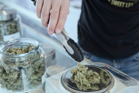 Cannabis clubs in upmarket Costa Blanca towns are shut down for illegally selling drugs to tourists