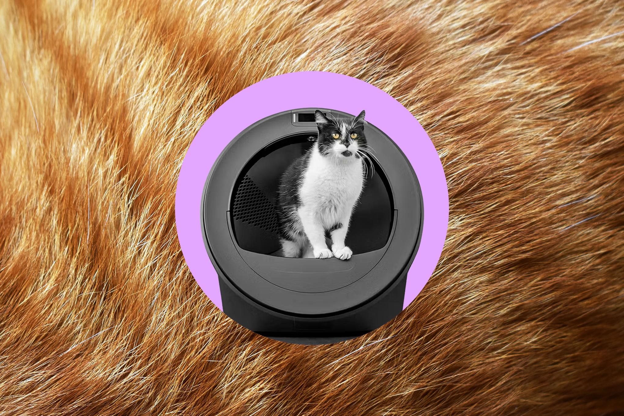 Whisker’s AI-powered litter robot thinks my cats swapped bodies