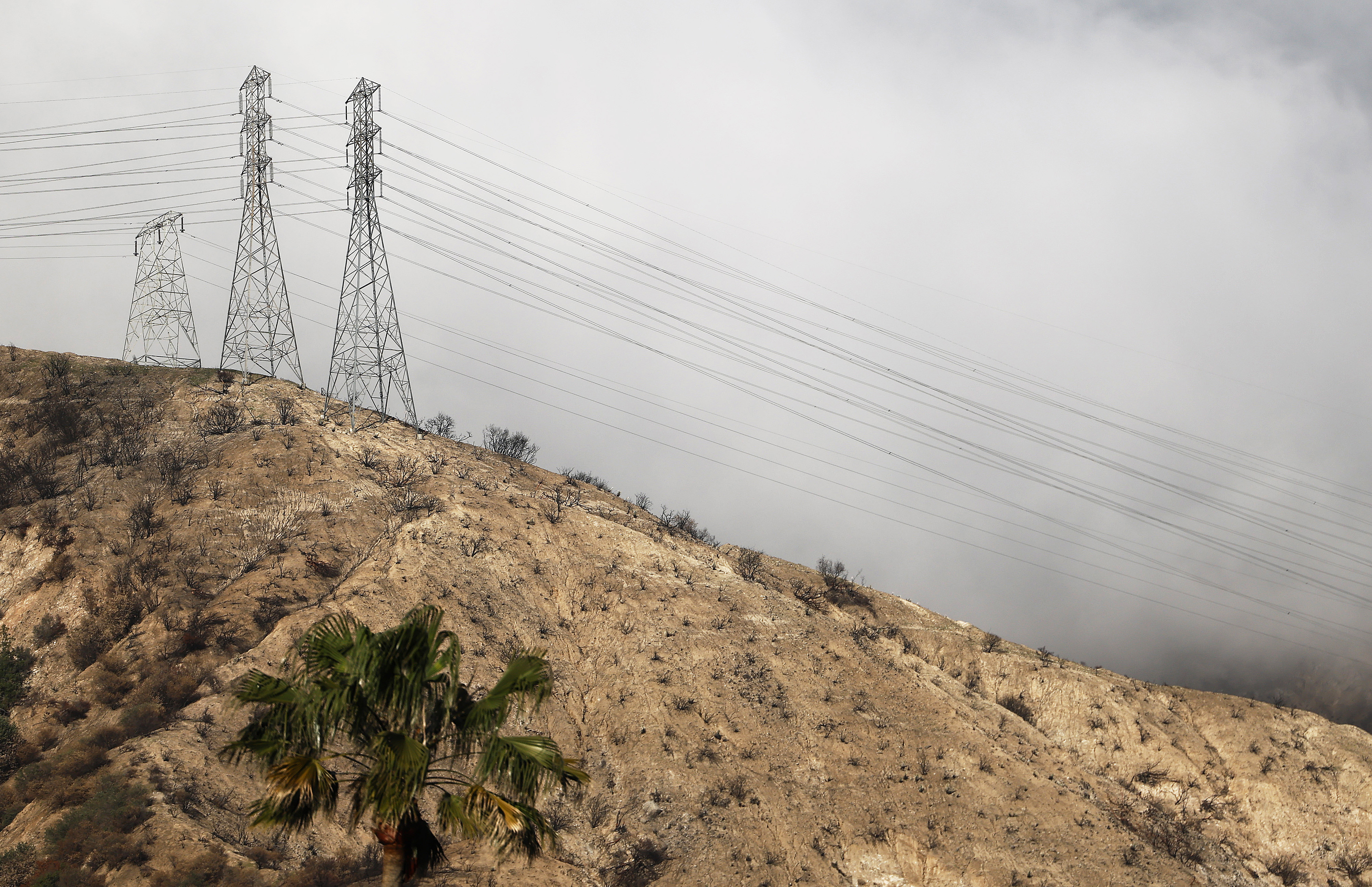 Edison Tower Caused Deadly Eaton Fire That Decimated Altadena, Investigation Finds
