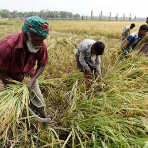 FY27: Banks must disburse minimum 4% of loans as agri credit