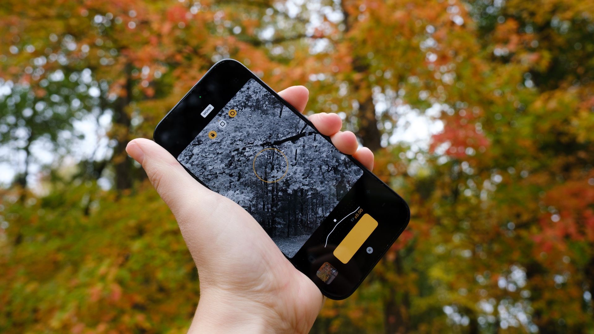 EXCLUSIVE: This iPhone camera app is built for color from every available Kodak film. Now, it’s going monochrome with a first-of-its-kind tool