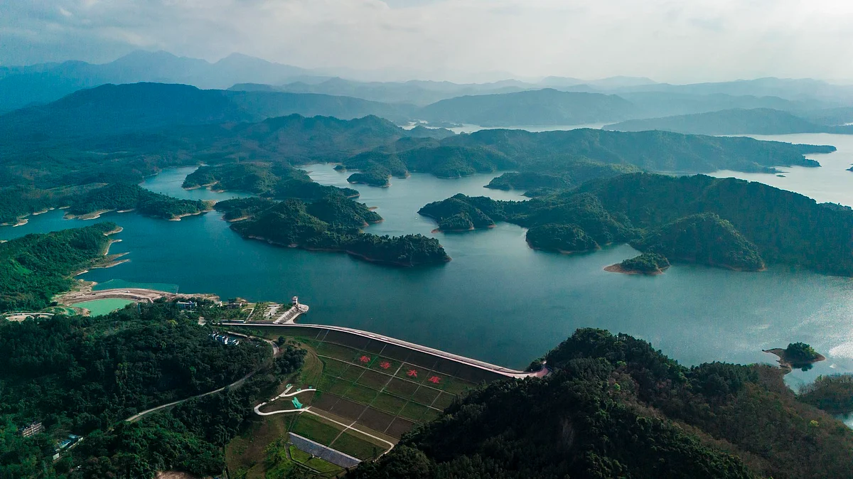 From fish farms to electric vehicles, sustainability as key to development