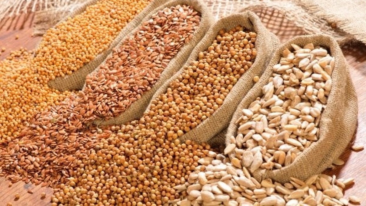 Ukraine transfers samples from national seed collection to Global Seed Vault on Spitsbergen
