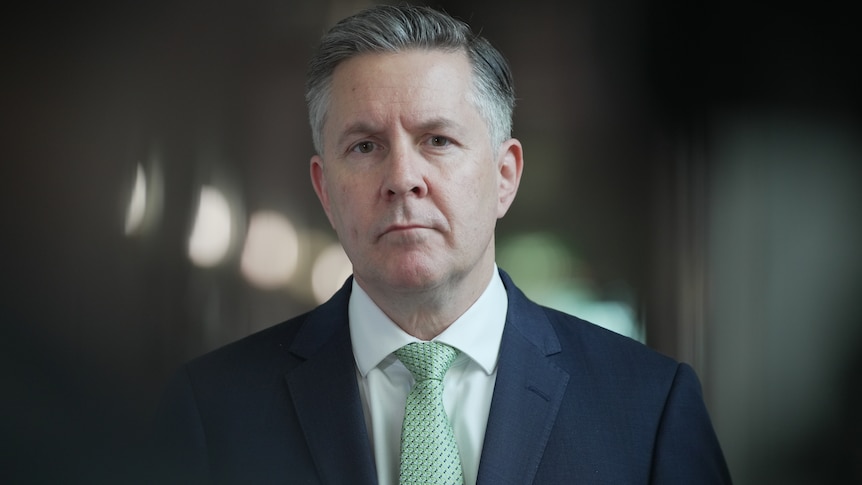 Private health rebate changes causing Labor 'a lot of pain in electorates'