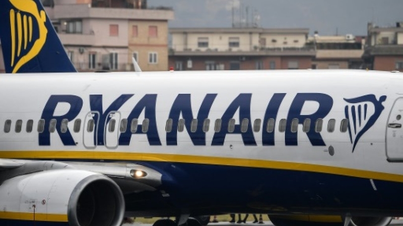 Stubborn vulture plucked from Ryanair wing before Greece flight