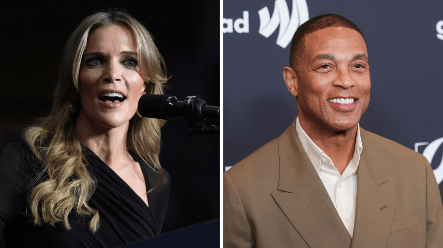 Megyn Kelly: Don Lemon should run for president