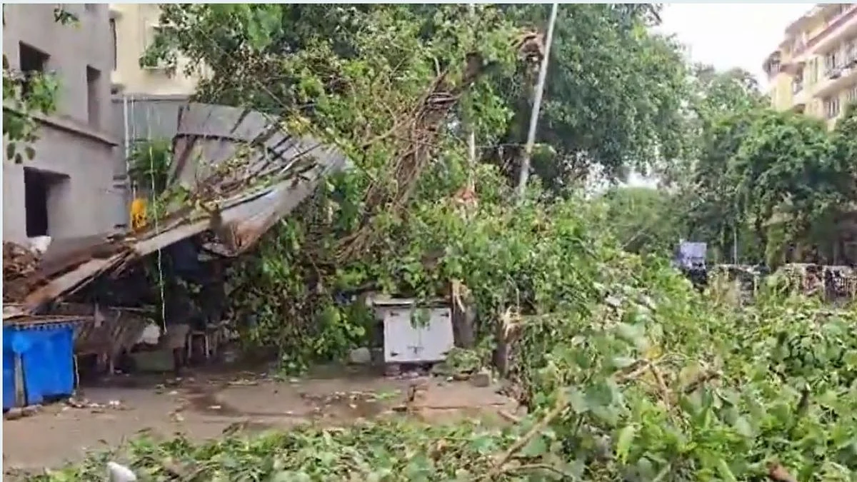 Mumbai: 2 Injured, Several Vehicles Damaged After Huge Banyan Tree Falls Near Churchgate Metro Station - VIDEO