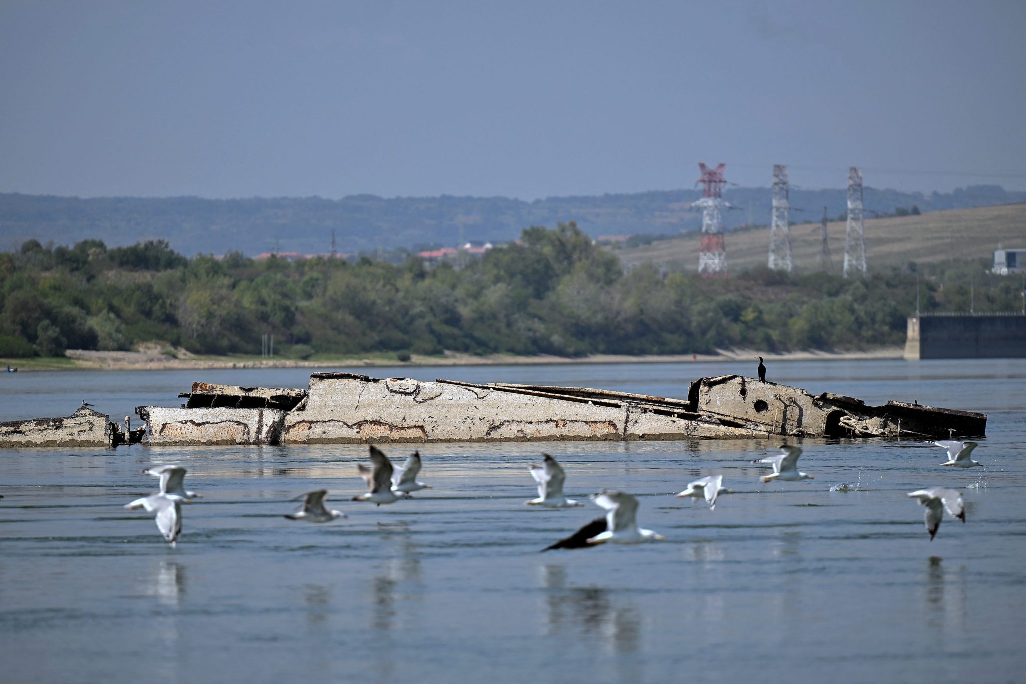 Danube River’s shrinking water levels expose dozens of World War II ships