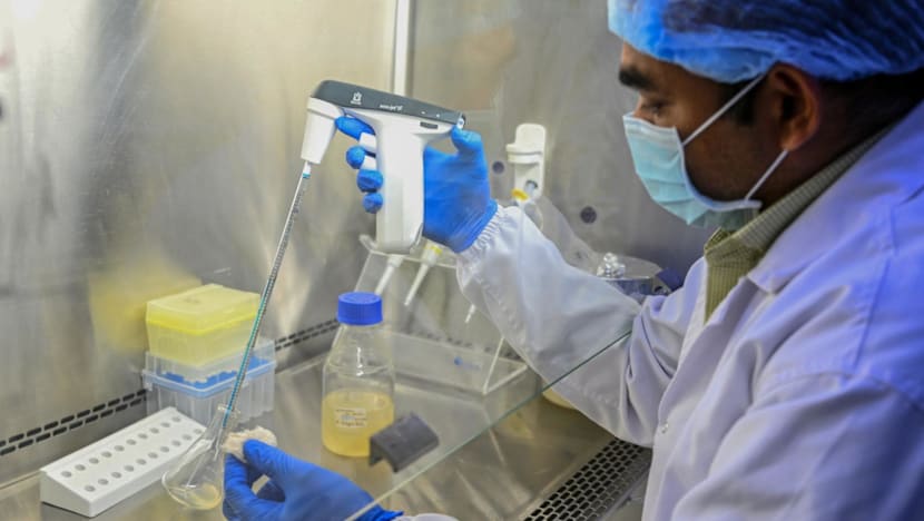 ‘AI lowers the capital needed’: India’s drug discovery push faces test of human trials