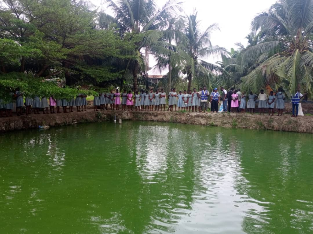 Galamsey threatens fish farming in Ghana – Fisheries Commission warns