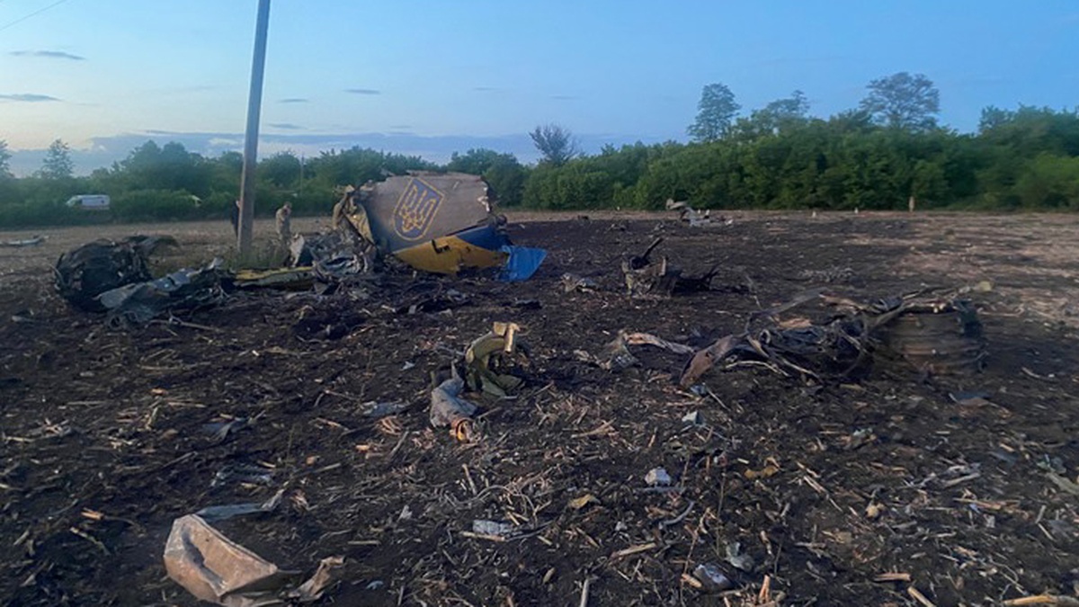 SBI on Su-24M crash: control system elements on left wing failed during flight, bird strike possible cause
