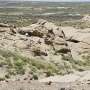Fossils from Wyoming's Smiley Draw deepen understanding of early primate evolution