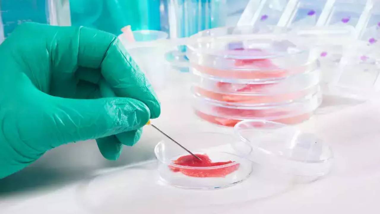 Scientists rejuvenate 80-year-old's cells to under 20 in 100 days