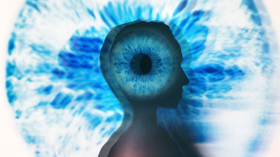 Brain Research: "That would be one of the greatest discoveries of humanity"