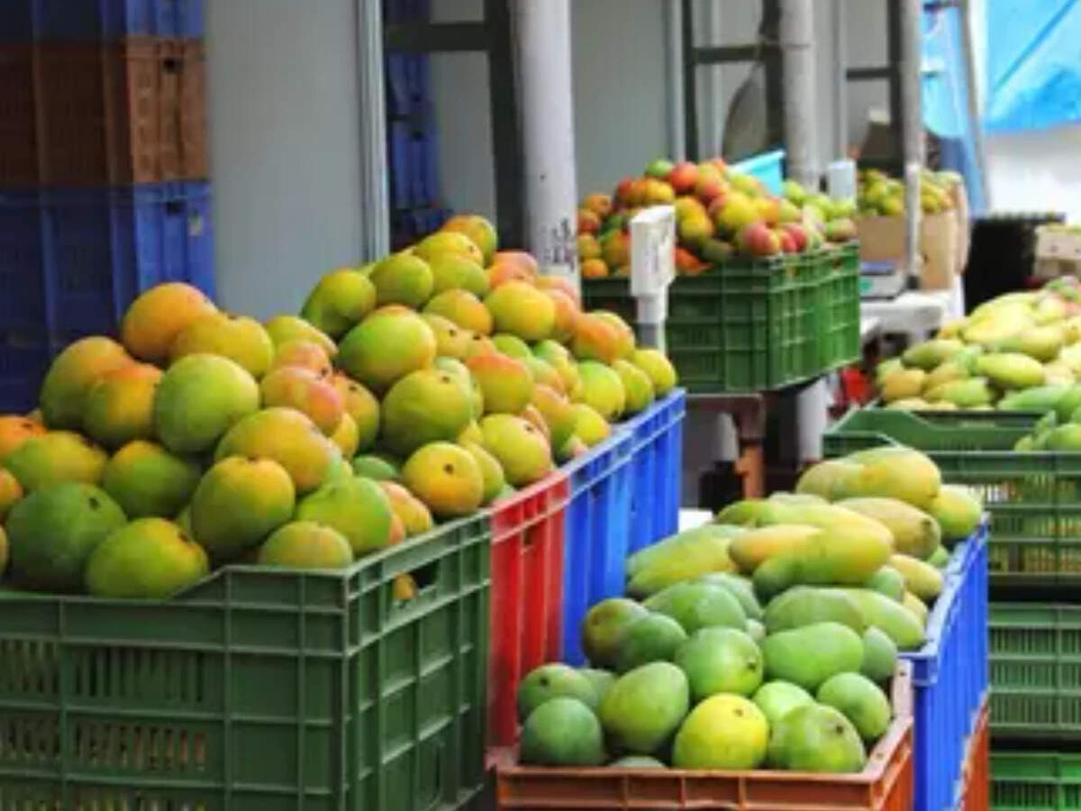 India widens export basket: Amrapali mangoes, premium cherries, frozen French fries find new markets