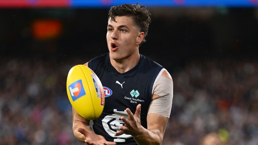 Carlton suspends defender over drink-driving charge