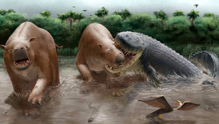 Giant Crocodiles Once Preyed on Massive Mammals in South America