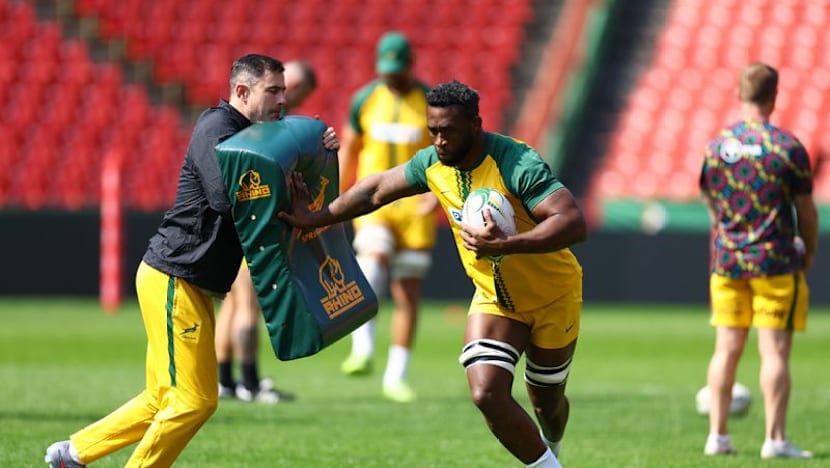 Springboks wait on Kolisi, Nche fitness ahead of first All Blacks test