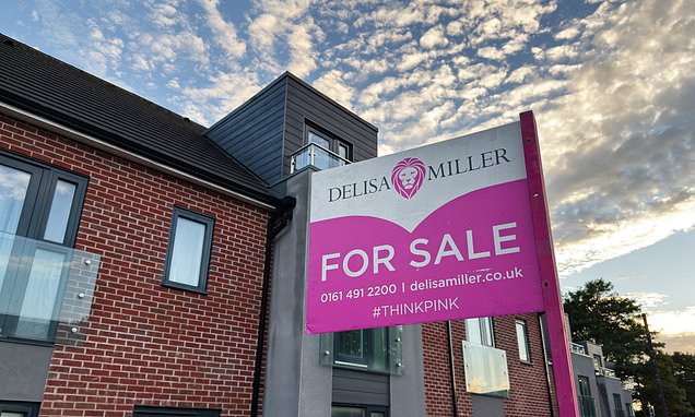Buy-to-let investors use faltering property market to haggle £50,000 discounts off homes