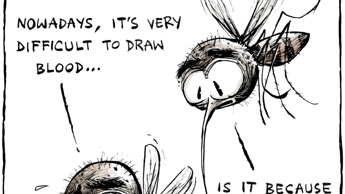 Science Cartoon: Humerus