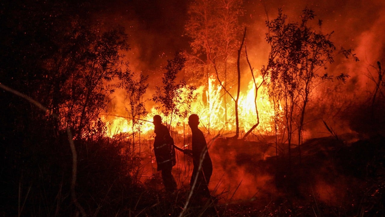 Indonesian governor’s Singapore trip adds fury to forest fire, haze crisis