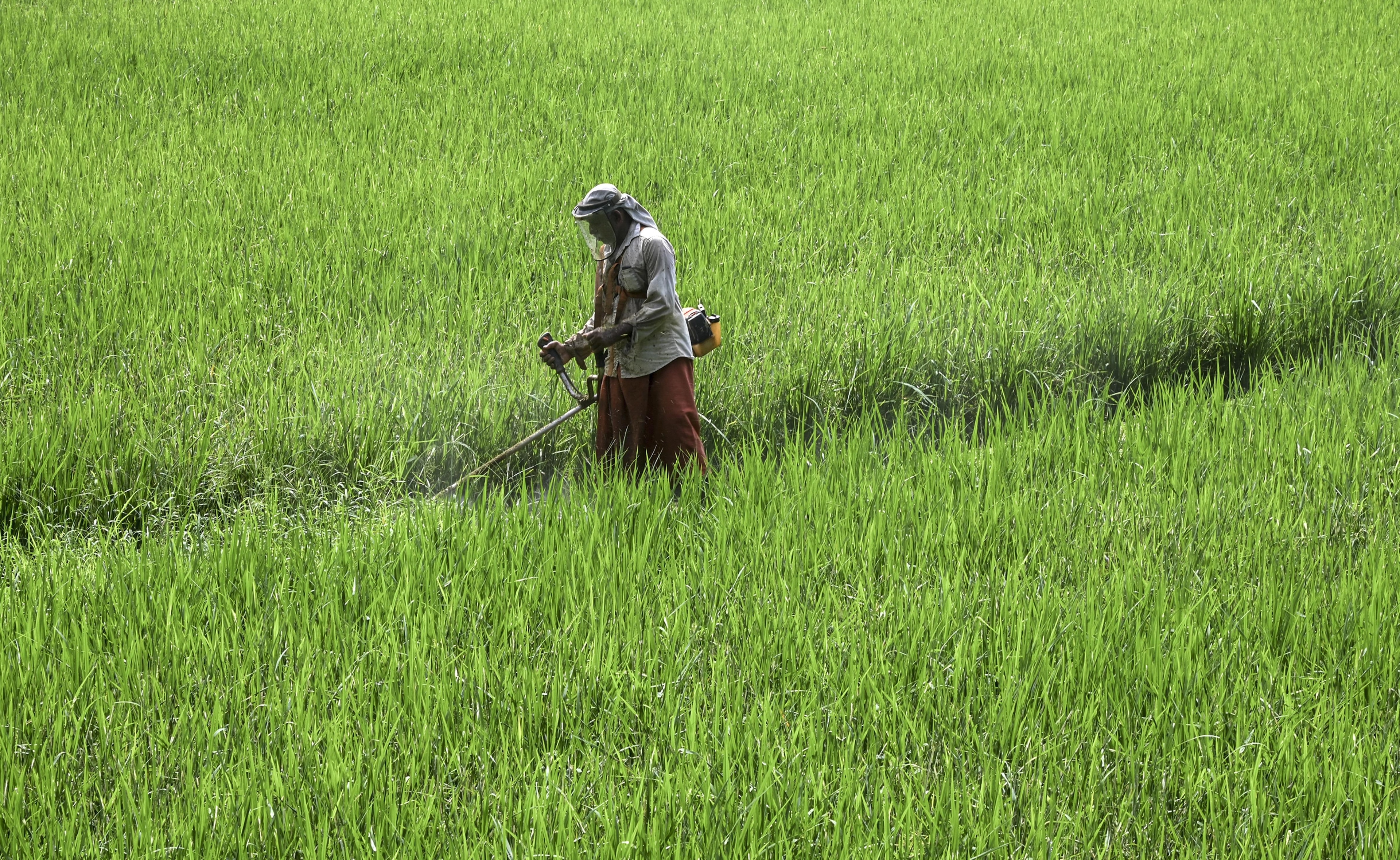 HELM AG, Parijat Industries sign deal for agri-commerce, manufacturing